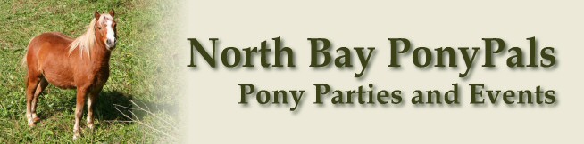 Pony Parties and Events